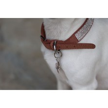 Collier pour chien